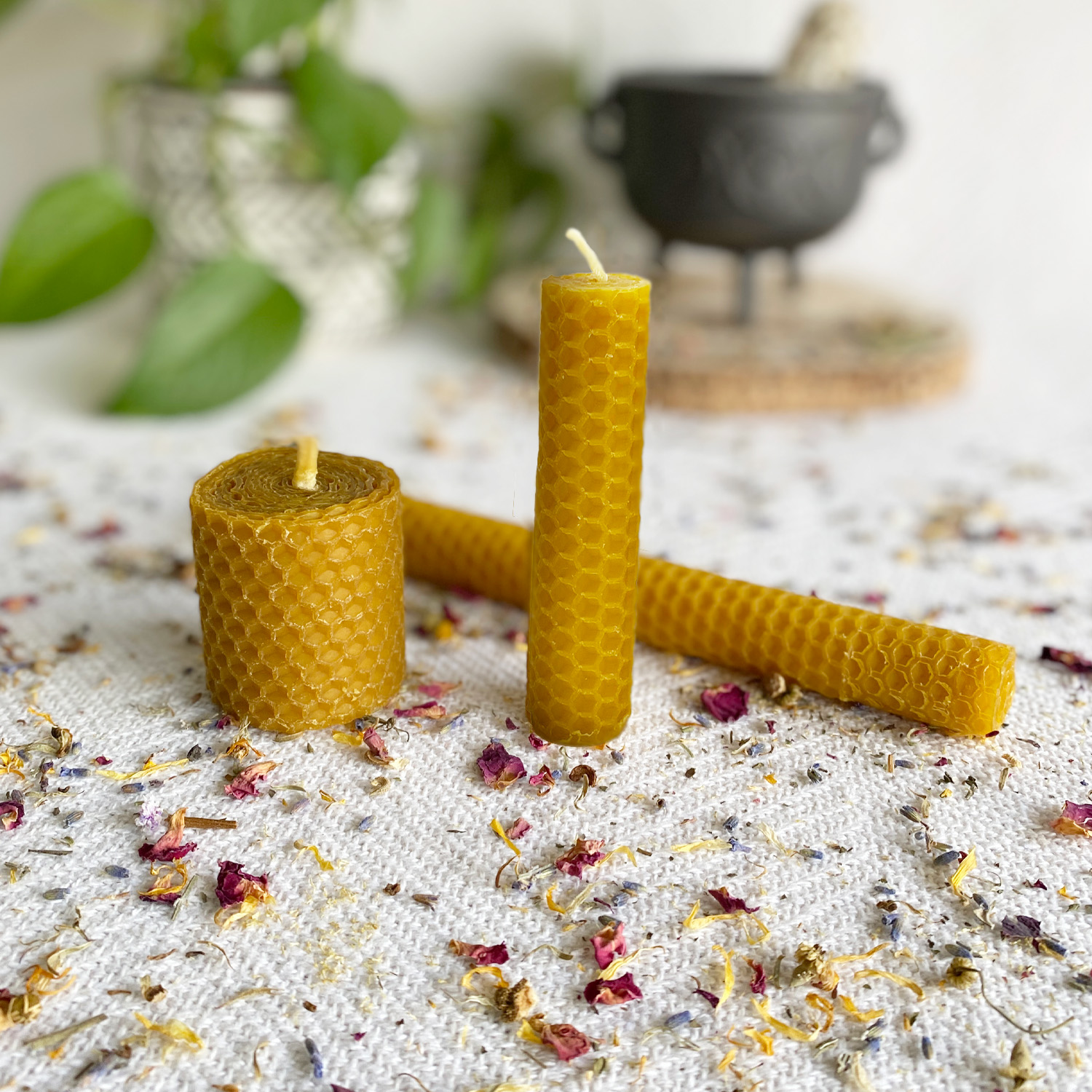 Velas de miel: para qué sirven y sus diferentes formatos - Velas y Aromas  Tienda de Velas artesanales hechas en España